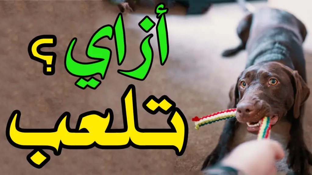 ازاي تلعب 1024x576