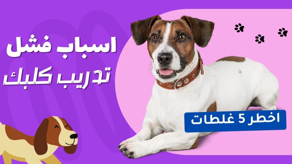 Dog Training Failer 1024x576