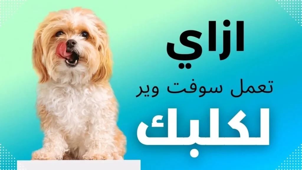 Maxresdefault 1024x576