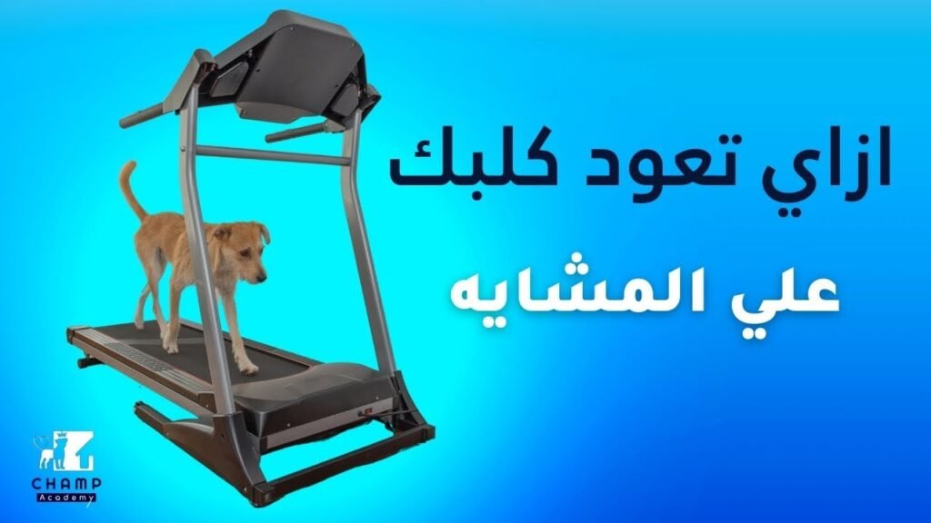 Maxresdefault 2 1024x576