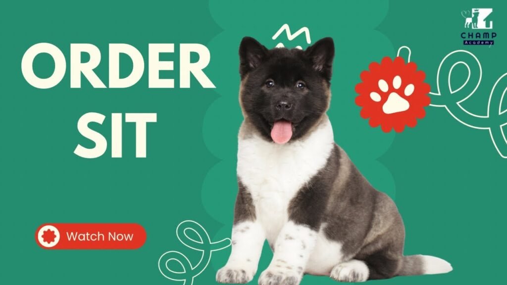 Maxresdefault 3 1024x576