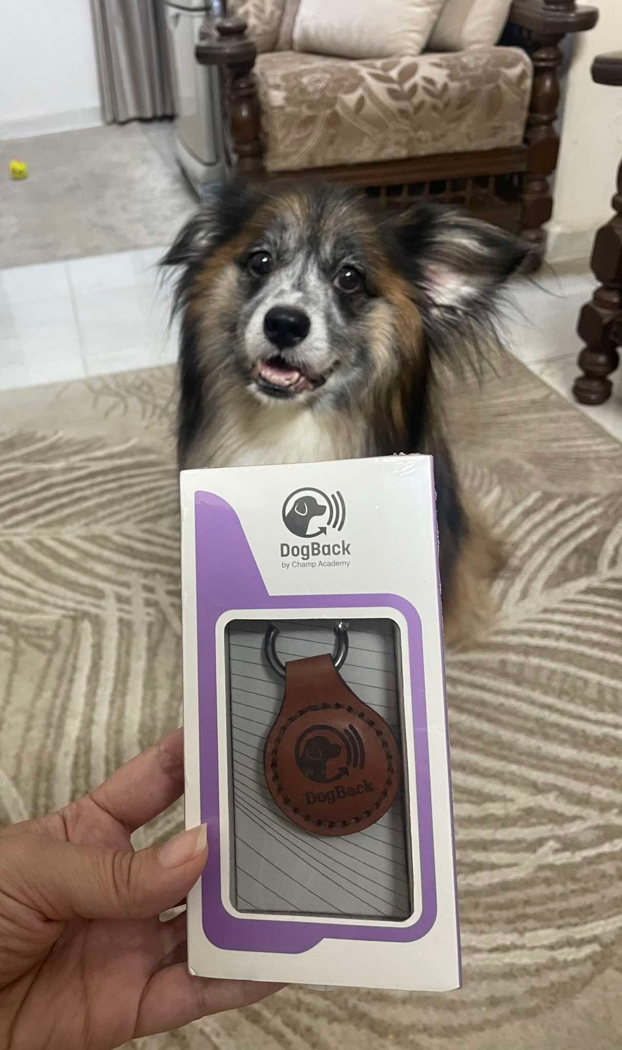 534158177 2860539840795967 8874089457307777369 n