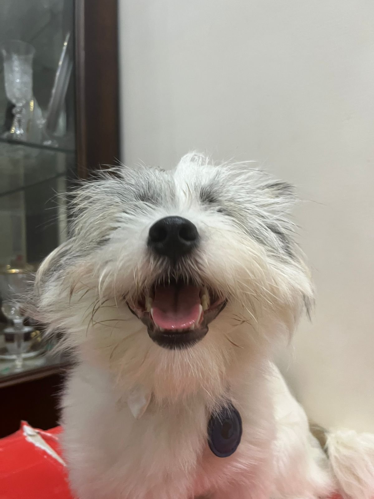 whatsapp image 2025 08 05 at 20.27.22 2a13bf9a